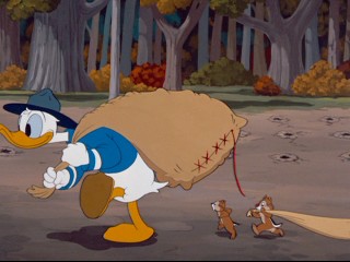 In "Winter Storage", Chip and Dale stay close behind park ranger Donald Duck during his acorn-planting.